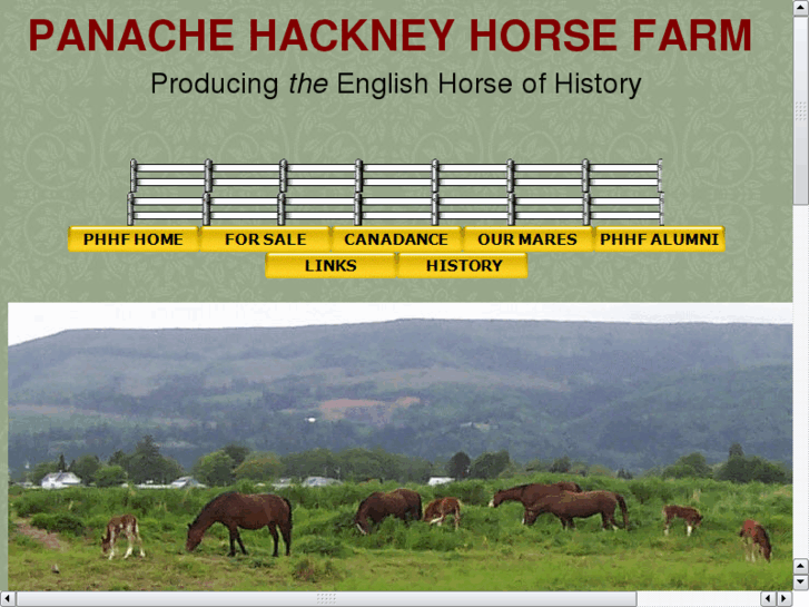 www.hackneyhorses.info