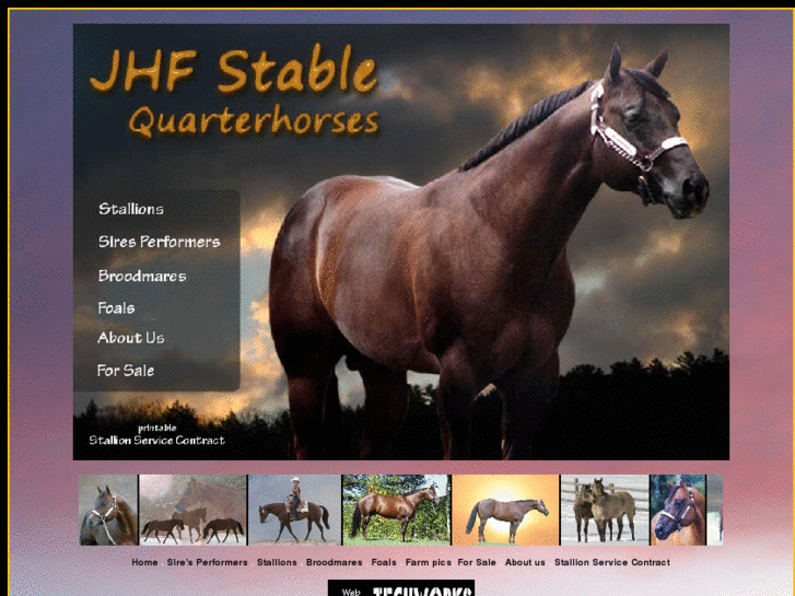 www.jhfstablequarterhorses.com