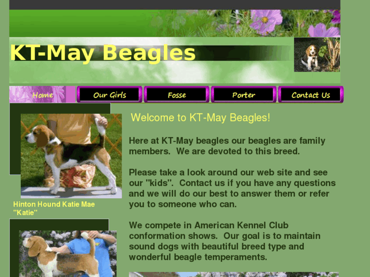 www.kt-maybeagles.com