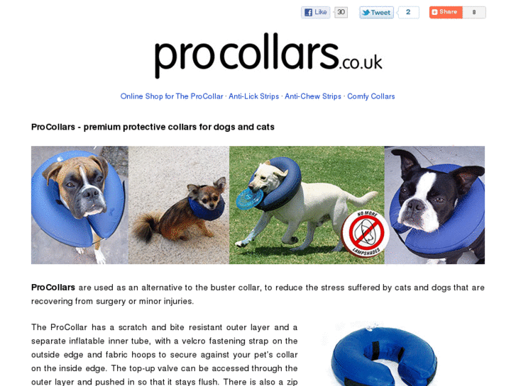 www.procollars.co.uk