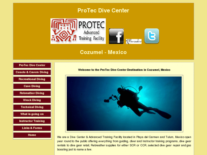 www.protec-cozumel.com