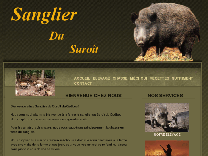 www.sanglierdusuroit.com