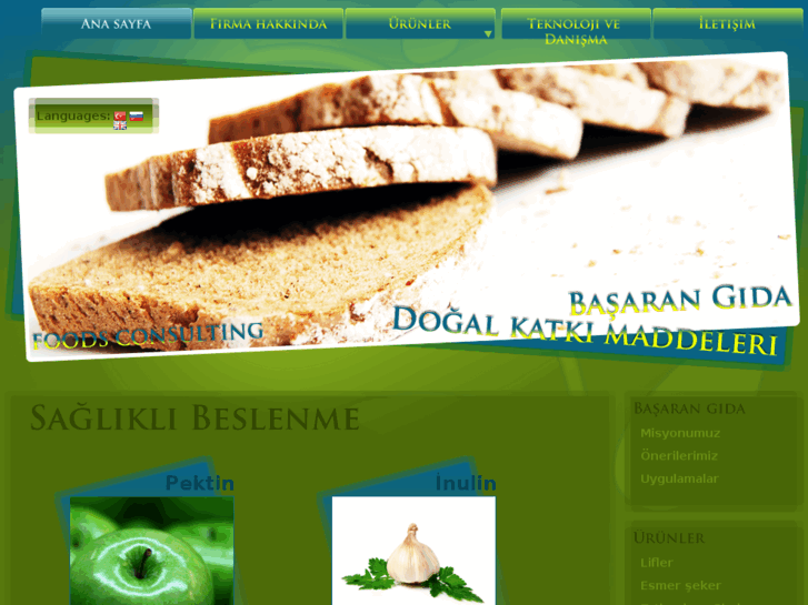 www.basaran-gida.com