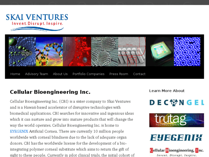 www.cellularbioengineering.com