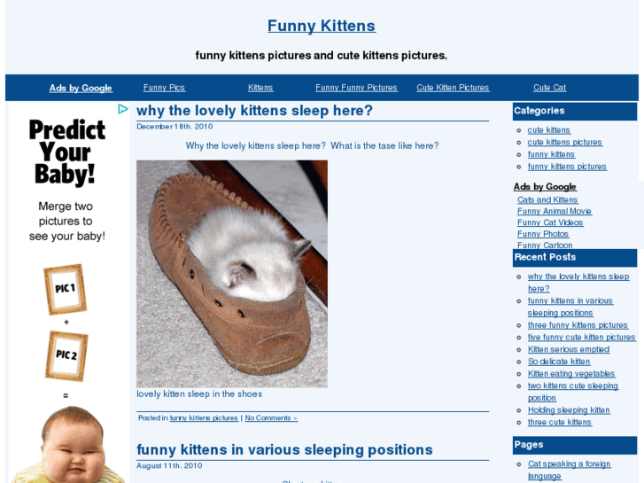 www.funny-kittens.net