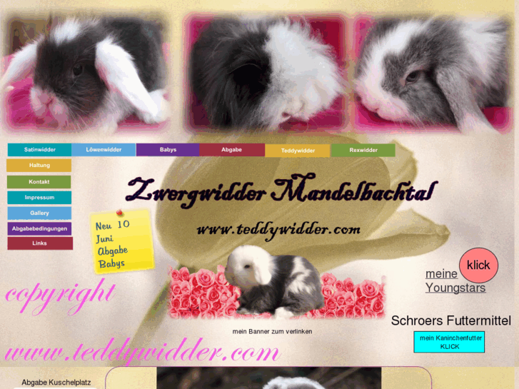 www.teddywidder.com