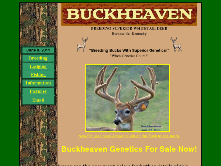 www.buckheaven.net