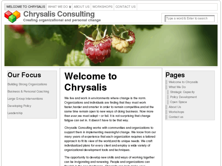 www.chrysalisconsulting.com