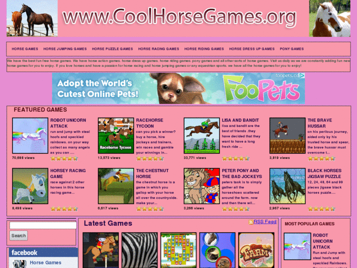 www.coolhorsegames.org