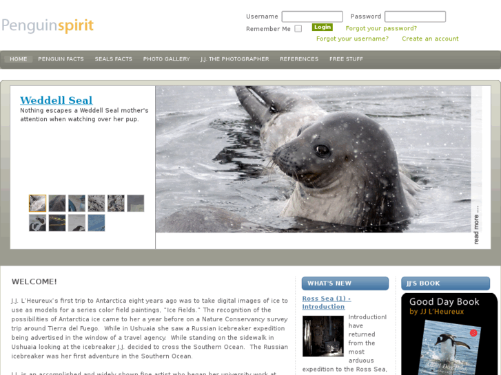 www.penguinspirit.com