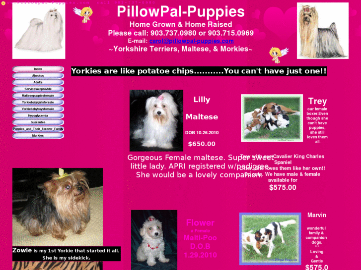 www.pillowpal-puppies.com