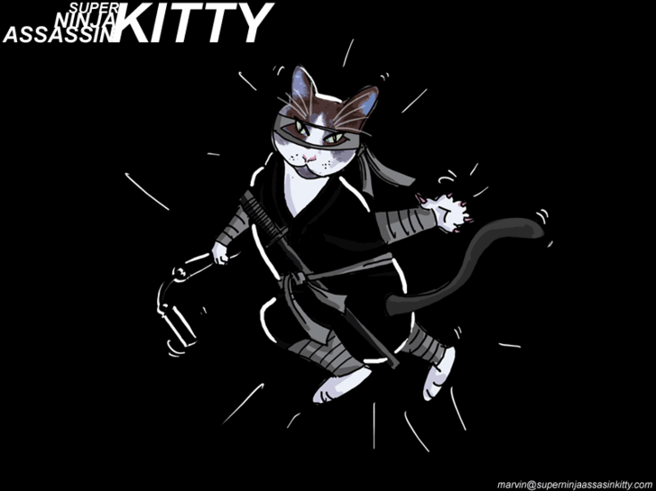 www.superninjaassassinkitty.com