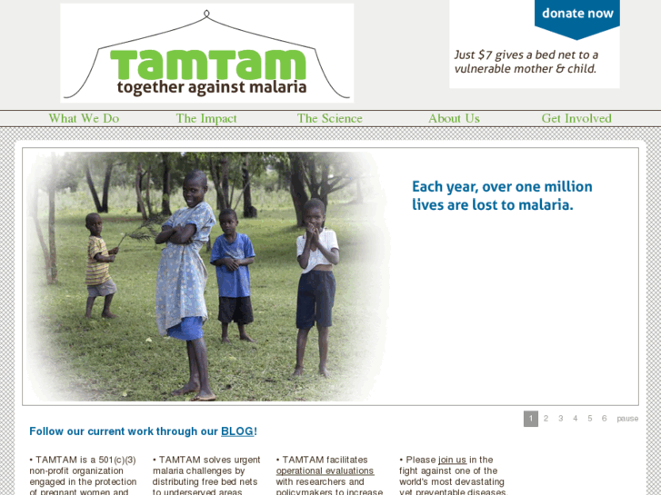 www.tamtamafrica.org