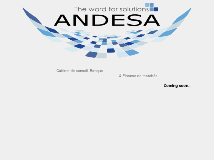www.andesasoftware.com
