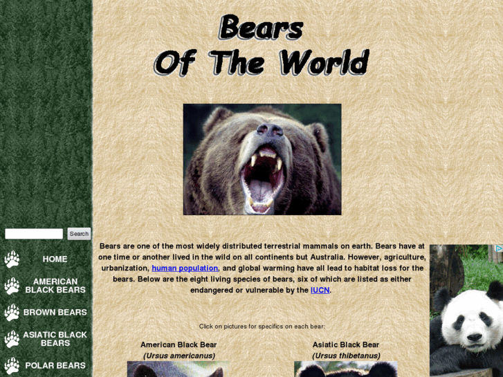 www.bearsoftheworld.net