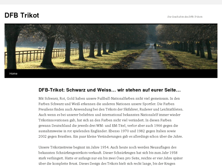 www.dfb-trikot.info