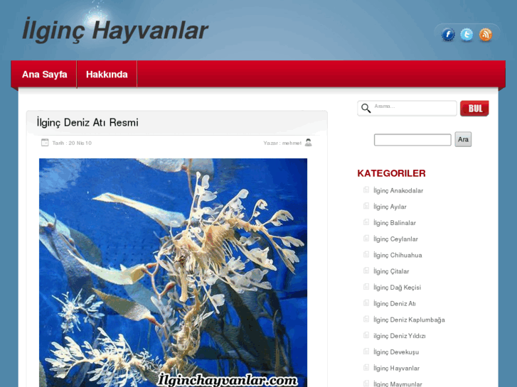 www.ilginchayvanlar.com