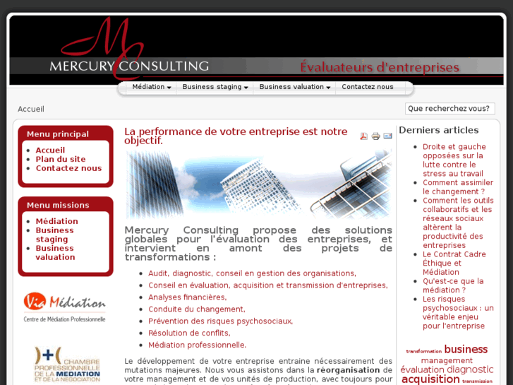www.mercuryconsulting.org
