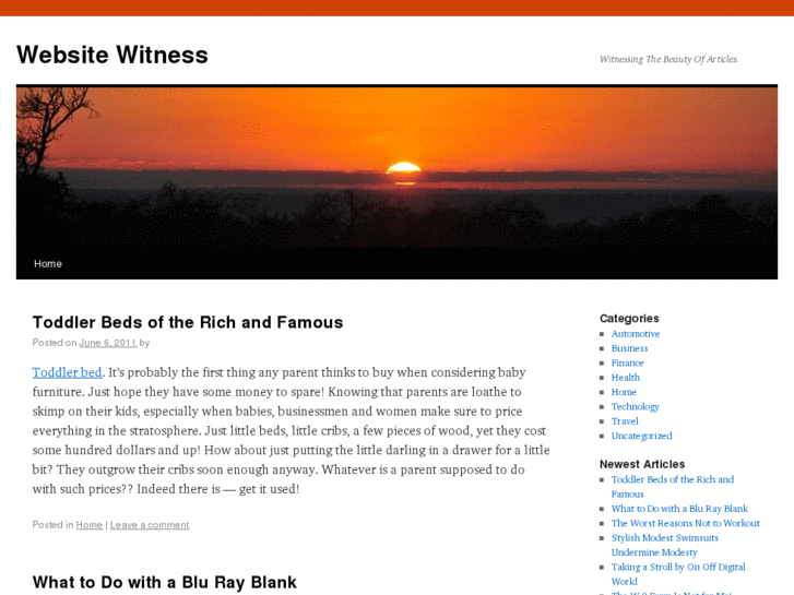 www.websitewitness.com