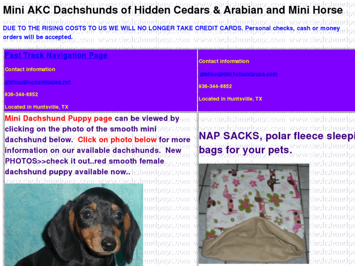 www.piebalddachshund.com