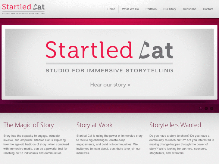 www.startledcat.com