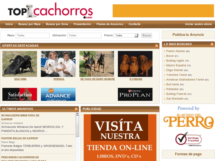 www.topcachorros.com