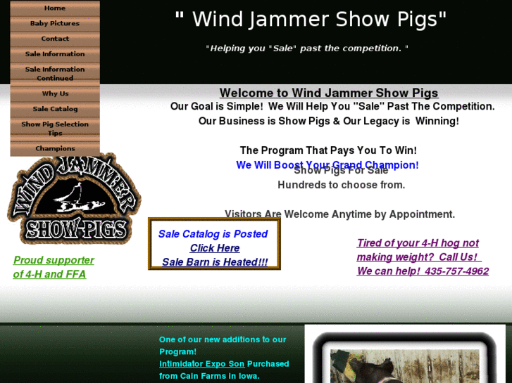 www.windjammershowpigs.com