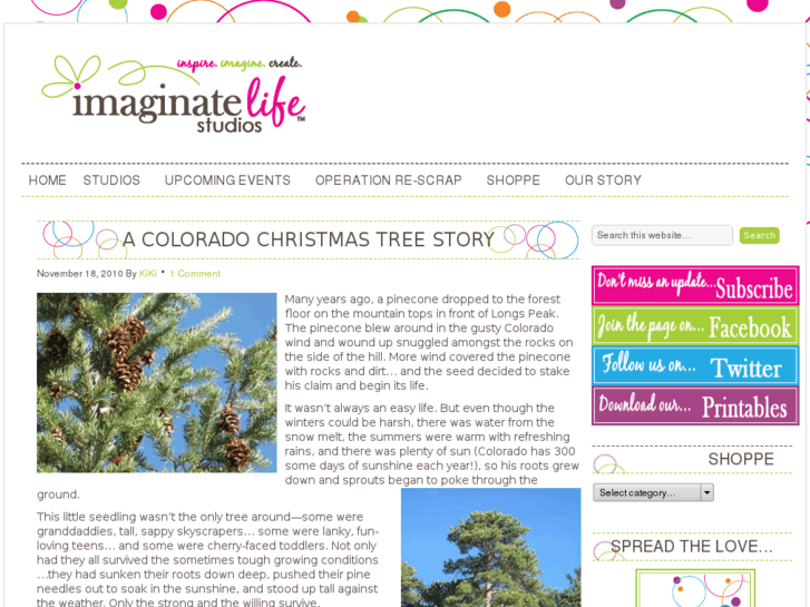 www.acoloradochristmastree.com