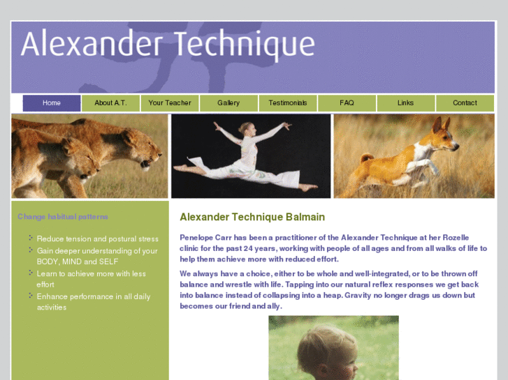 www.alexandertechniqueconsultant.com