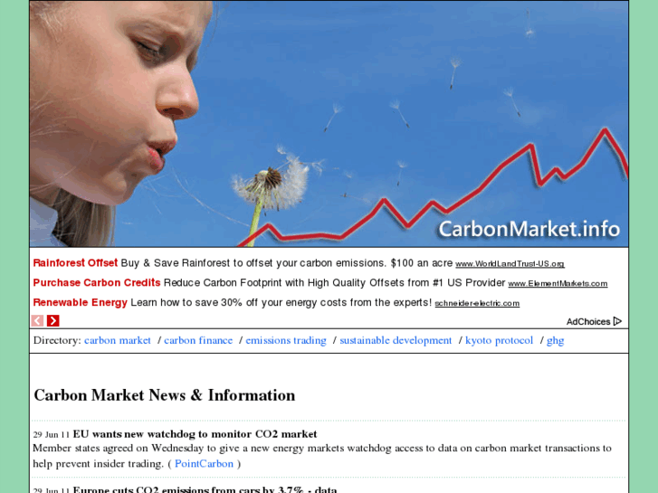 www.carbonmarket.info