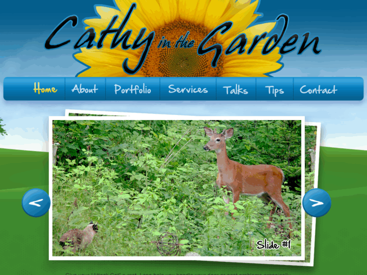 www.cathyinthegarden.net