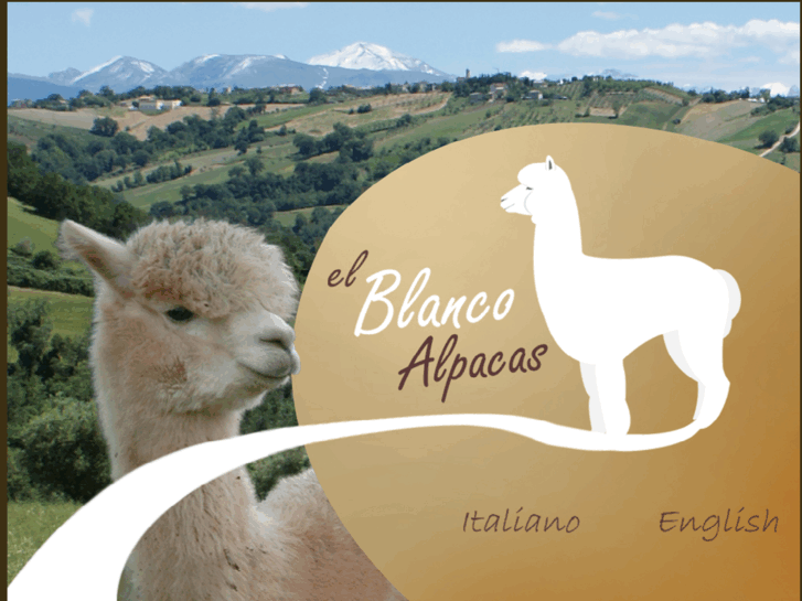 www.elblancoalpacas.com