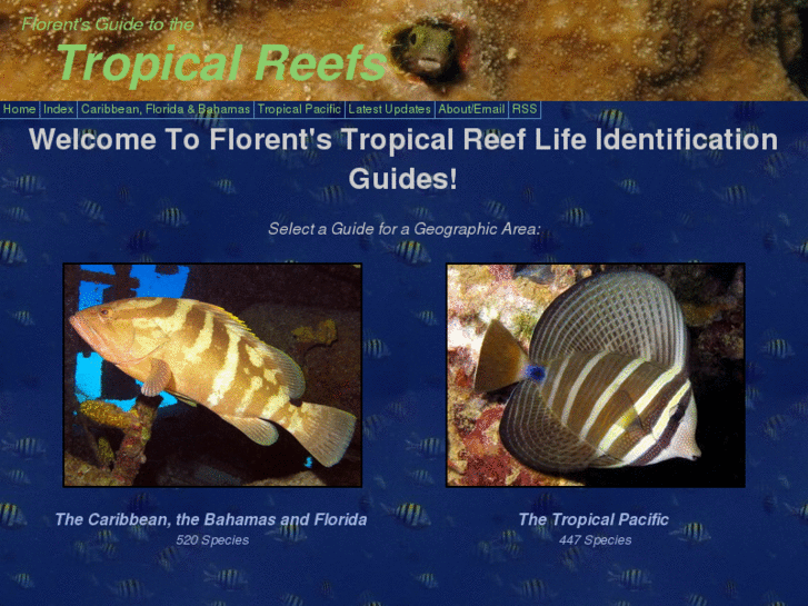 www.reefguide.org