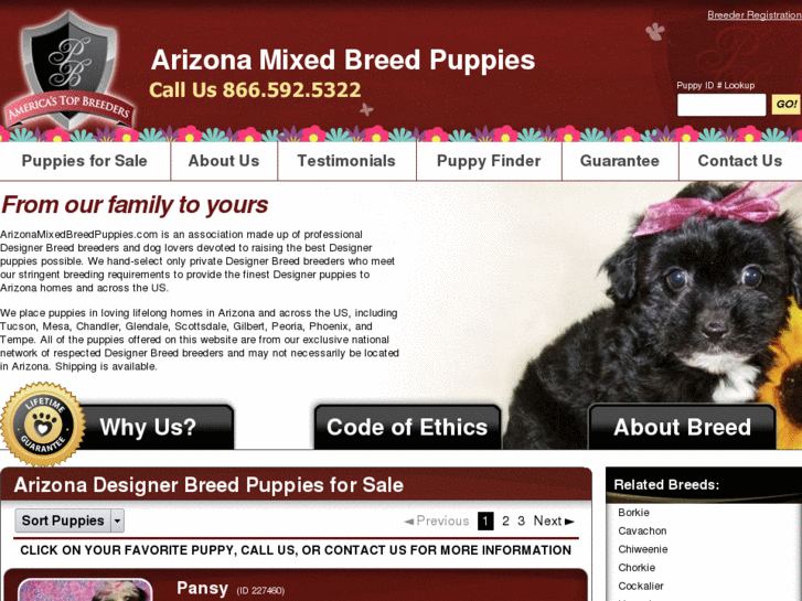 www.arizonamixedbreedpuppies.com