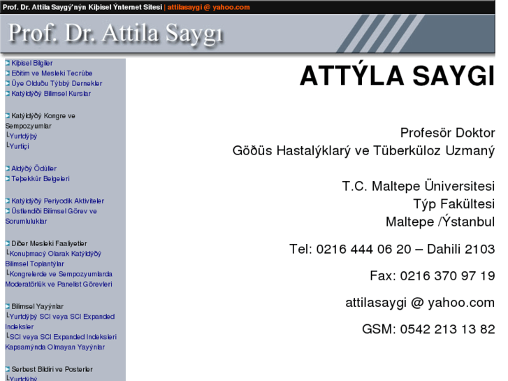 www.attilasaygi.com