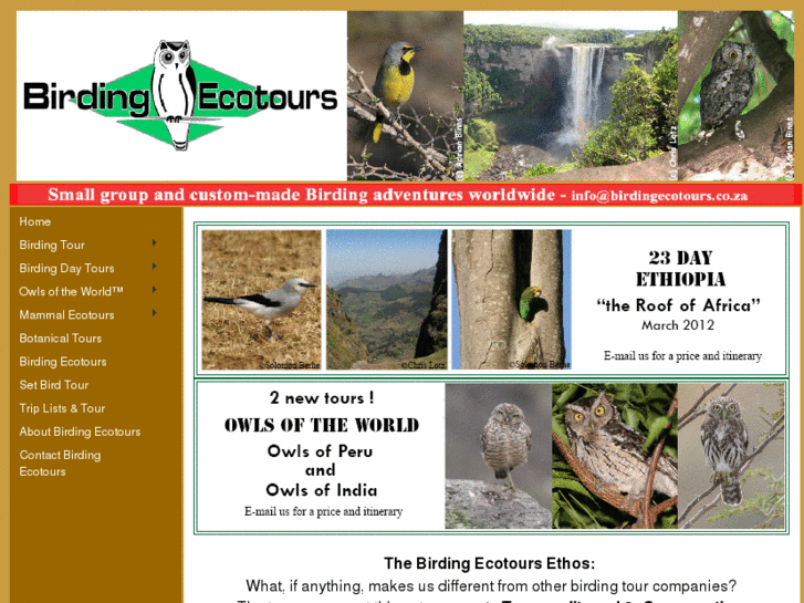 www.birdingecotours.co.za