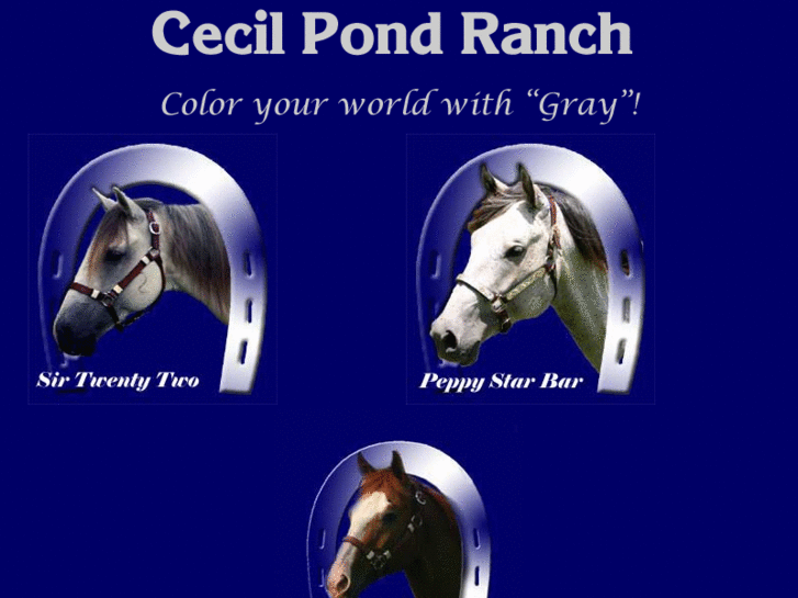 www.cecilpondranch.com