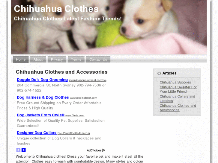 www.chihuahuaclothesonline.info