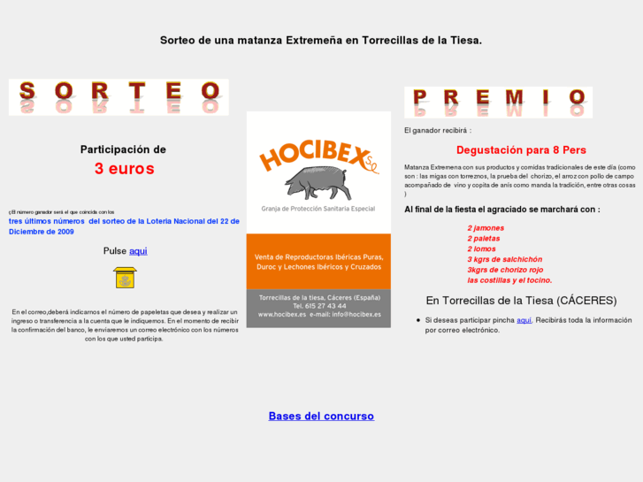 www.hocibex.es