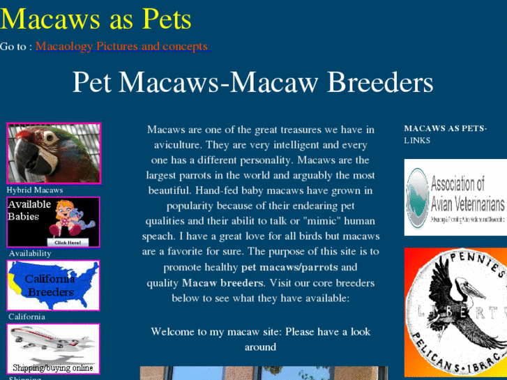 www.macawsaspets.com