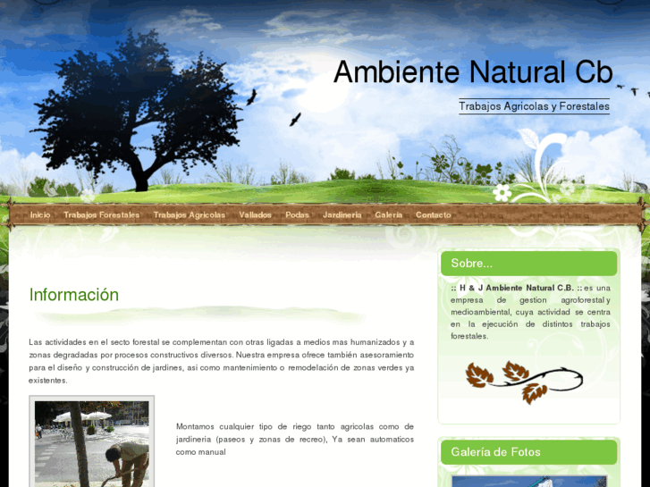 www.ambientenaturalcb.com