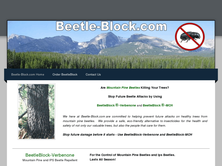 www.beetle-block.com