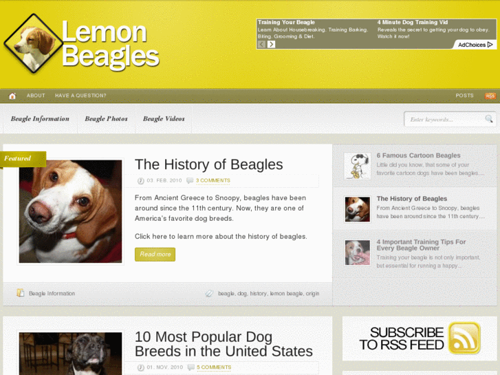 www.lemon-beagle.com