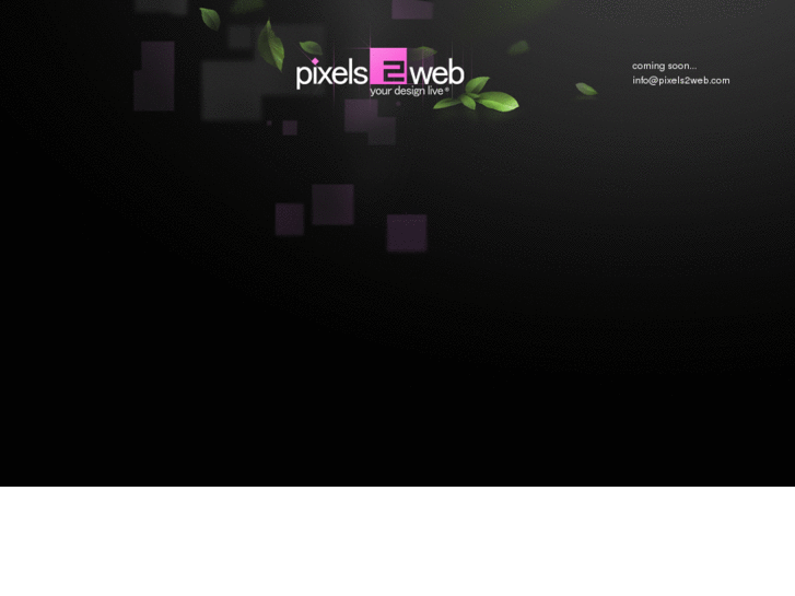 www.pixels2web.com