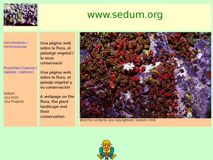 www.sedum.org