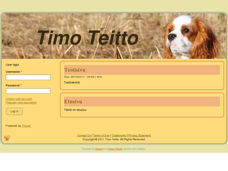 www.teitto.com