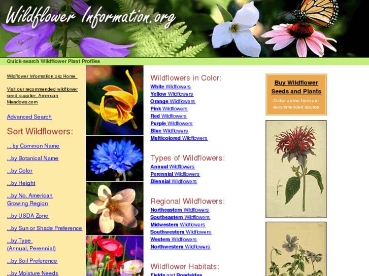 www.wildflowerinformation.org