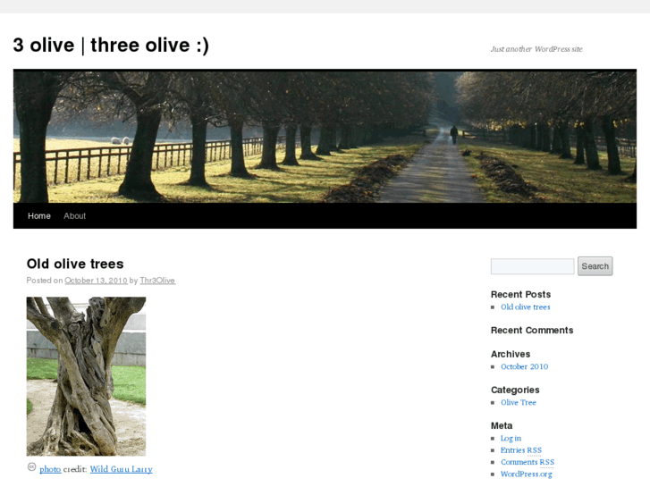 www.3olive.com