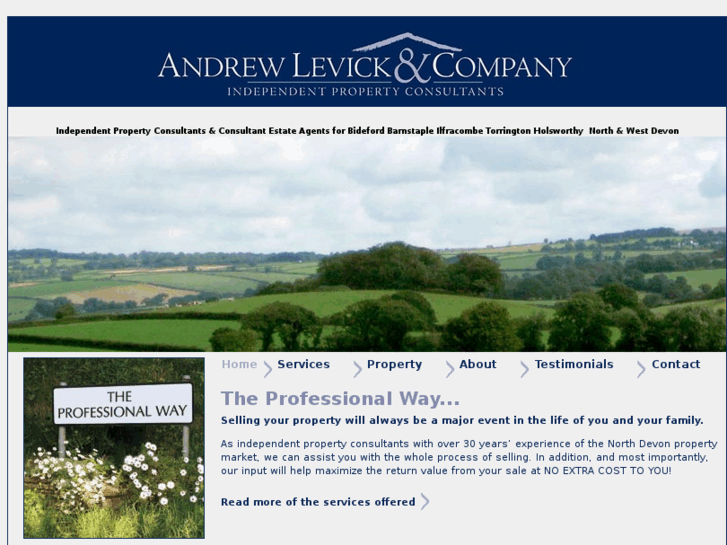 www.andrewlevick.com