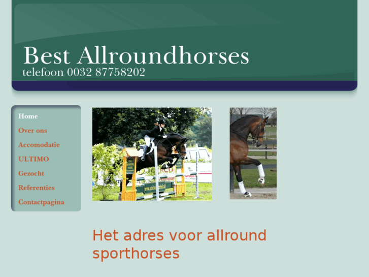 www.best-allroundhorses.com